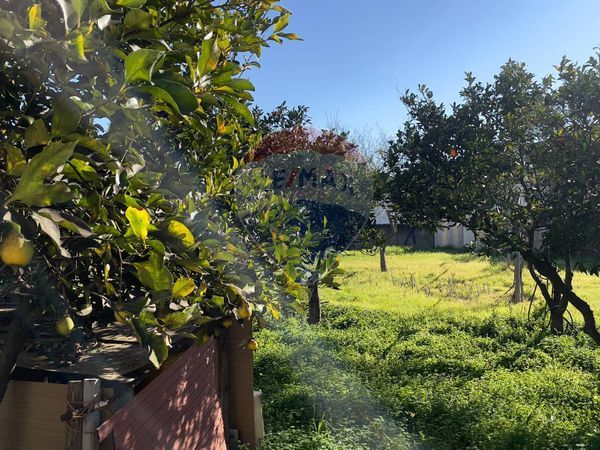 Villa a schiera Marina di Ginosa, Ginosa, TA Vendita - Foto 2