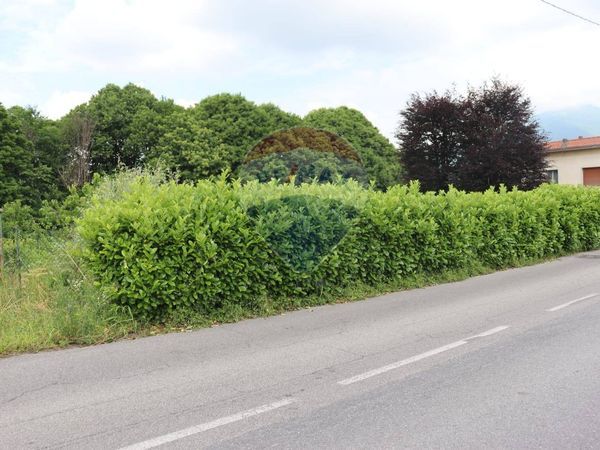 Terreno Pascolo, Molteno, LC Vendita - Foto 3