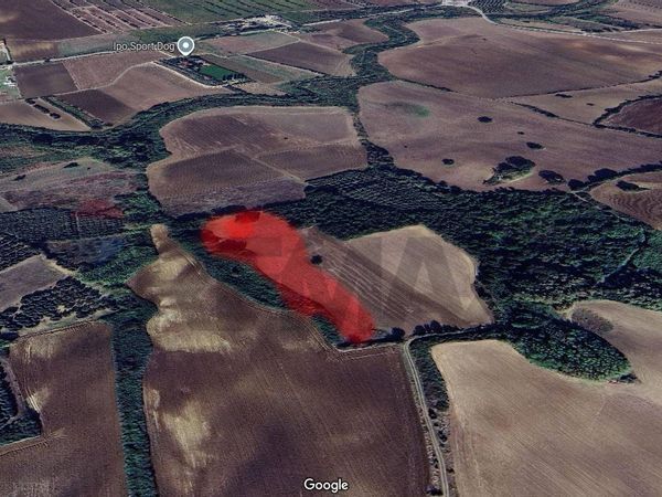 Terreno San Giacomo degli Schiavoni, CB Vendita - Foto 3