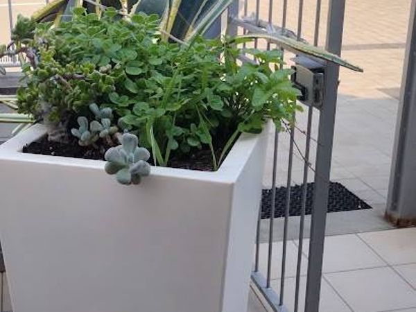 Casa Semindipendente Andora, SV Vendita - Foto 3