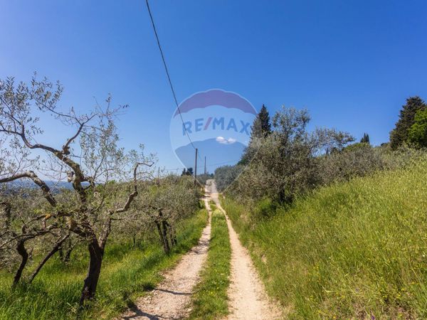 Terreno Osteria Nuova, Bagno a Ripoli, FI Vendita - Foto 2