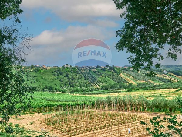 Casa Semindipendente Torrevecchia Teatina, CH Vendita - Foto 2