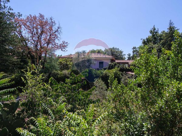 Villa o villino Zafferana Etnea, CT Vendita