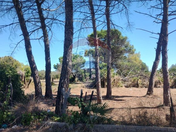 Terreno Barletta, BT Vendita - Foto 4