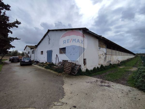 Capannone Industriale Bisceglie, BT Vendita