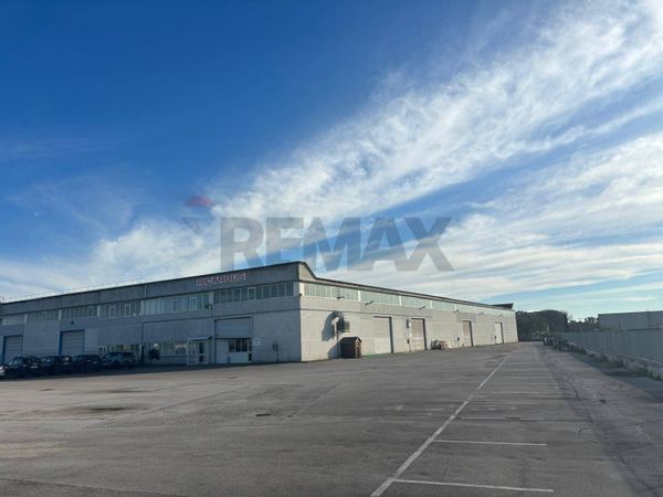 Capannone Industriale Pomezia, RM Vendita - Foto 3