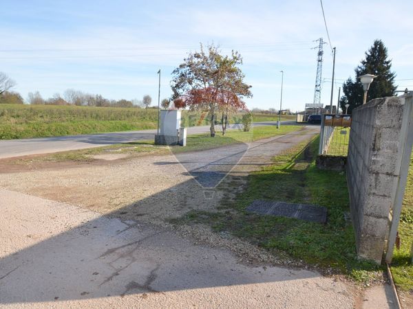 Capannone Industriale Cervarese Santa Croce, PD Vendita - Foto 4