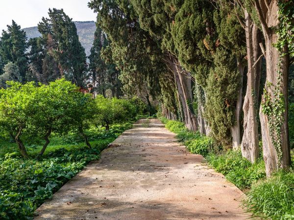 Cascina/Casale Cardillo, Palermo, PA Vendita - Foto 2