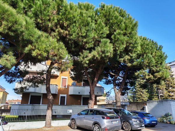 Ufficio Cimitero, Busto Arsizio, VA Affitto - Foto 4