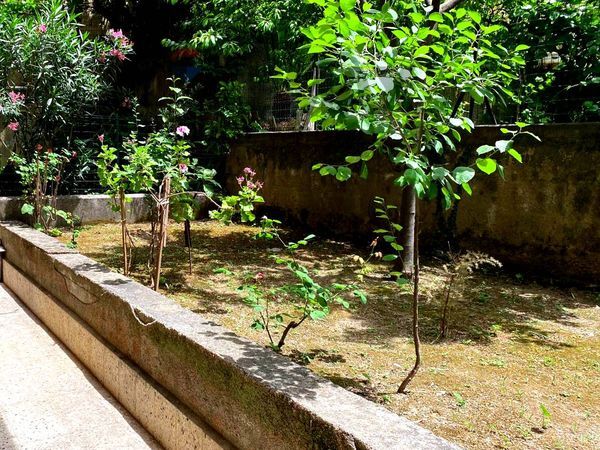Appartamento Francavilla di Sicilia, ME Vendita - Foto 2