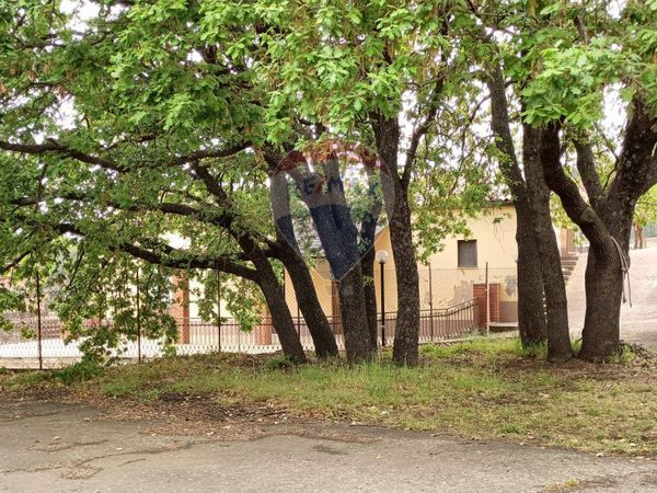 Villa o villino Biancavilla, CT Vendita - Foto 4