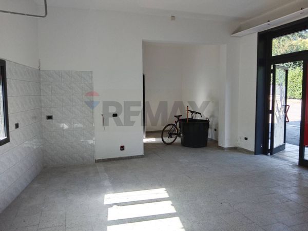 Negozio Castelvetro di Modena, MO Vendita