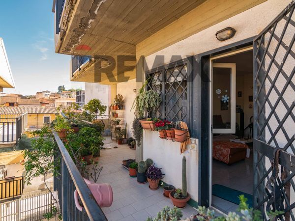 Appartamento Valverde, CT Vendita - Foto 2
