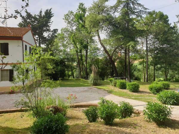 Casa Indipendente Sant'Amico, Morro d'Alba, AN Vendita - Foto 2