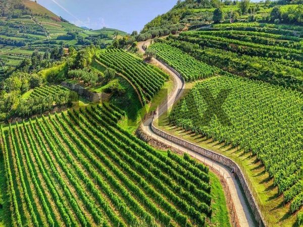 Cascina/Casale Cogollo, Tregnago, VR Vendita