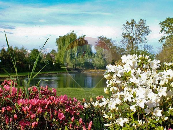 Ristorante Zona Veveri, Novara, NO Vendita - Foto 3