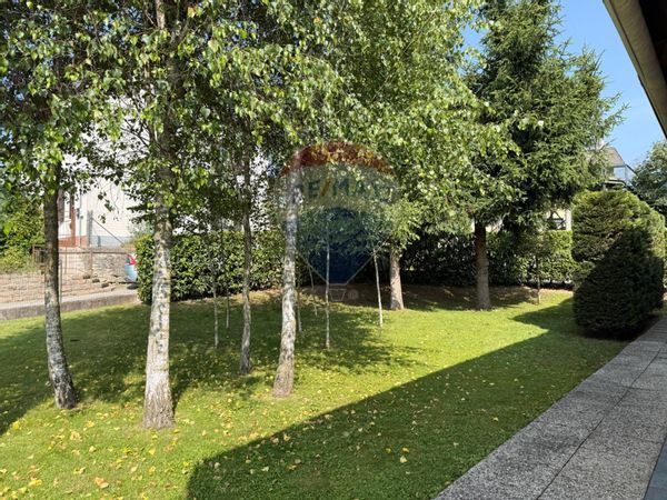 Locale Commerciale Centro, Belluno, BL Vendita - Foto 4