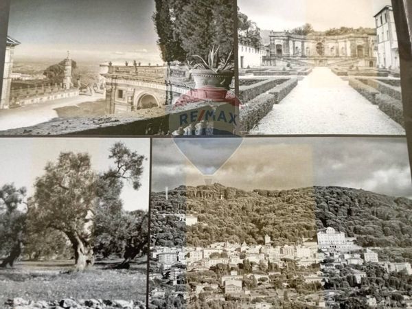 Villa singola Cocciano, Frascati, RM Vendita - Foto 4