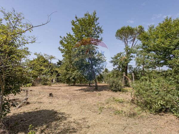 Casa Indipendente Velletri, RM Vendita - Foto 4