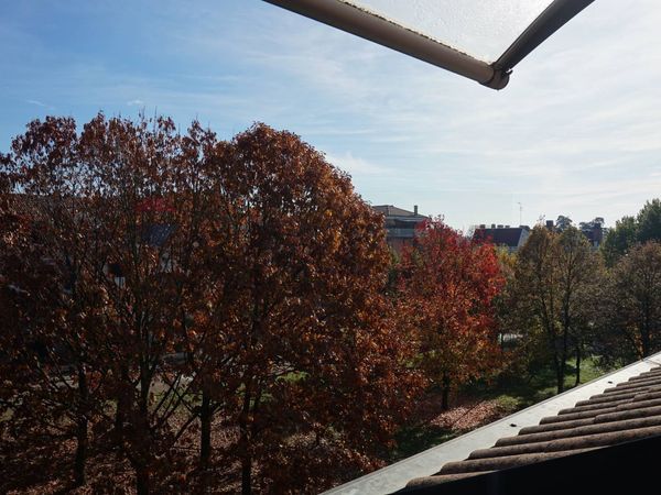 Appartamento Arluno, MI Vendita - Foto 2