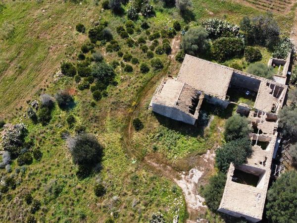 Cascina/Casale Noto, SR Vendita - Foto 4