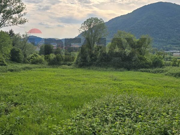 Terreno Brivio, LC Vendita - Foto 2