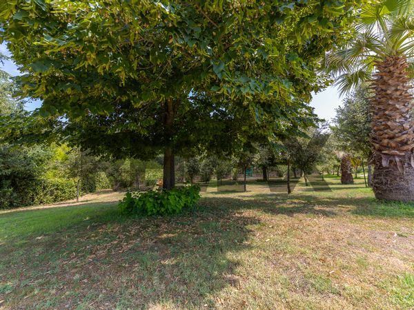 Villa a schiera Giustiniana, Roma, RM Vendita - Foto 4
