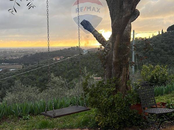 Azienda Agricola Stiava, Massarosa, LU Vendita - Foto 4
