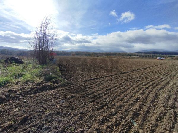 Terreno Roggiano Gravina, CS Vendita