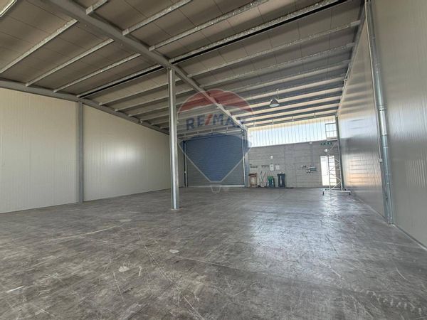 Capannone Industriale Carbonara - Ceglie, Bari, BA Affitto - Foto 4