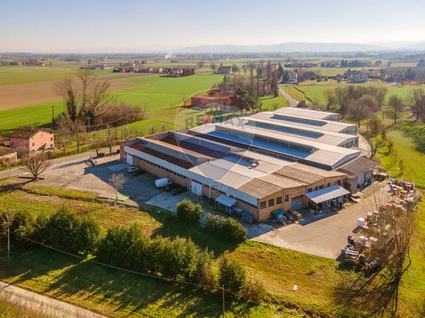 Capannone Industriale Masone, Reggio nell'Emilia, RE Vendita - Foto 4