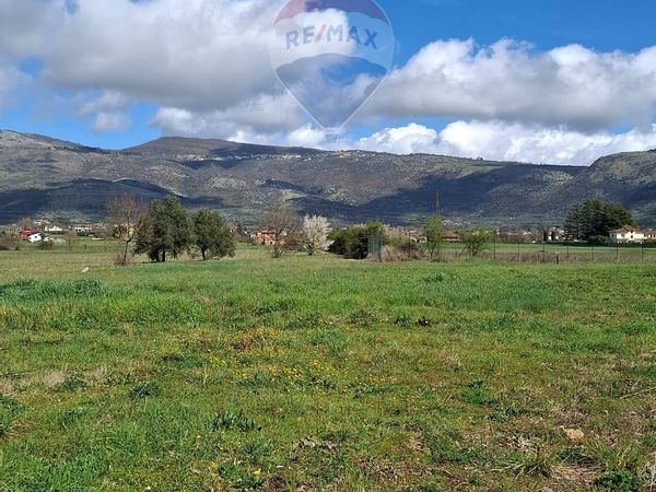 Terreno Ferentino, FR Vendita - Foto 2