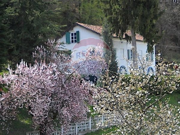 Casa Indipendente San Paolo, San Michele Mondovì, CN Vendita
