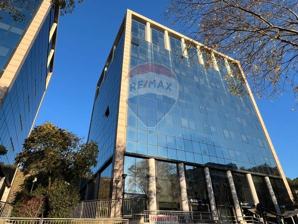 Ufficio EUR, Roma, RM Affitto