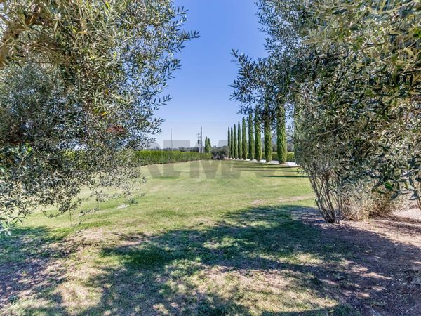 Agriturismo Canino, VT Vendita - Foto 4