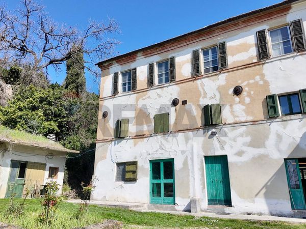 Cascina/Casale Casine di Paterno, Ancona, AN Vendita - Foto 2