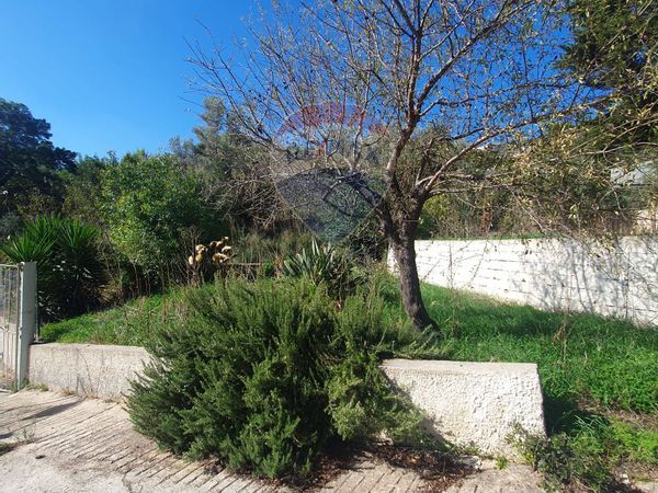 Villa singola Misilmeri, PA Vendita - Foto 2