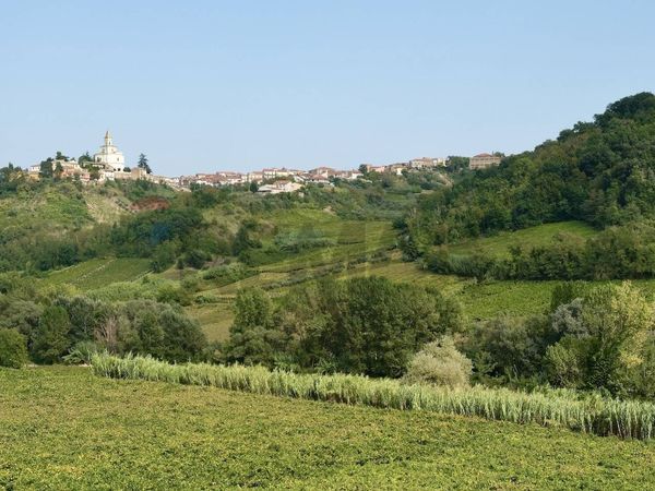 Negozio Tollo, CH Affitto - Foto 2