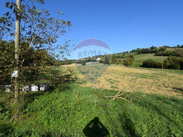 Terreno Talignano, Sala Baganza, PR Vendita - Foto 4