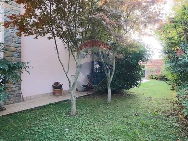 Casa Indipendente Sotto il Monte Giovanni XXIII, BG Vendita - Foto 4