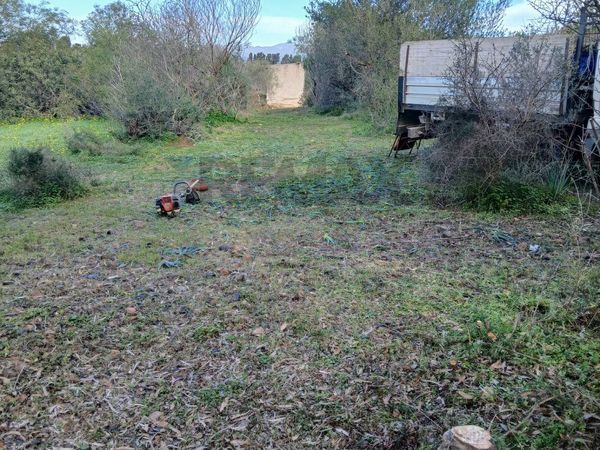 Casa Indipendente Zona Flumini, Quartu Sant'Elena, CA Vendita - Foto 2