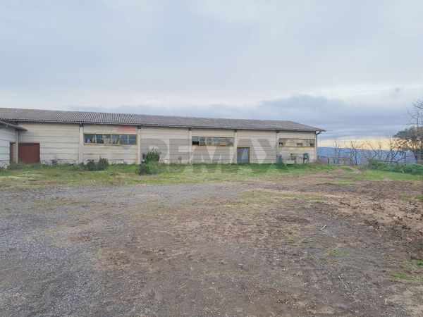 Capannone Industriale Celleno, VT Vendita - Foto 3