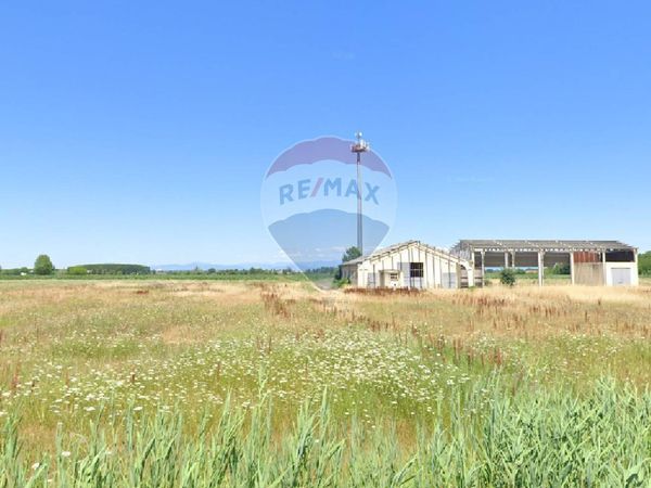 Rustico Sant'Antonio (capoluogo), Porto Mantovano, MN Vendita - Foto 3