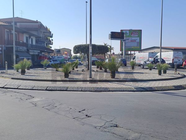 Locale Commerciale San Giovanni Galermo, Catania, CT Affitto - Foto 4