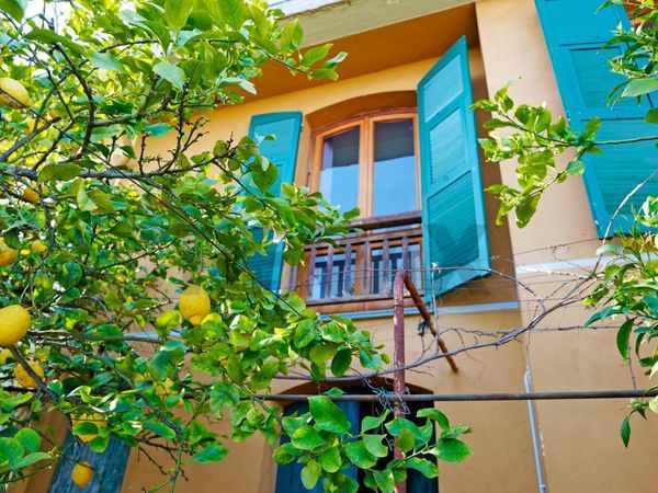 Casa Semindipendente Spotorno, SV Vendita - Foto 2