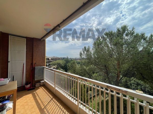 Appartamento Pisana, Roma, RM Affitto - Foto 2
