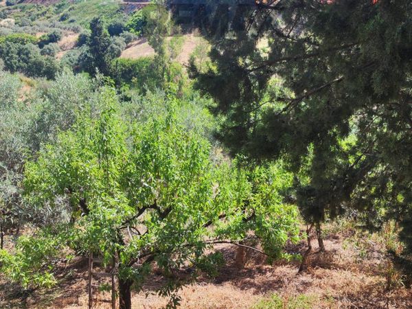 Villa o villino Misilmeri, PA Vendita - Foto 2
