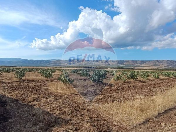 Terreno San Giovanni Rotondo, FG Vendita - Foto 4