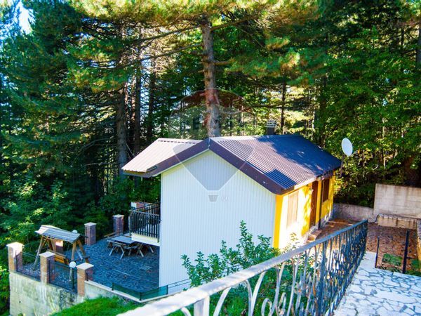 Villa o villino Spezzano della Sila, CS Vendita - Foto 2