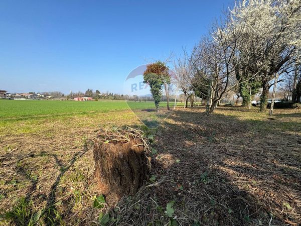 Terreno Edificabile Zampis, Pagnacco, UD Vendita - Foto 3